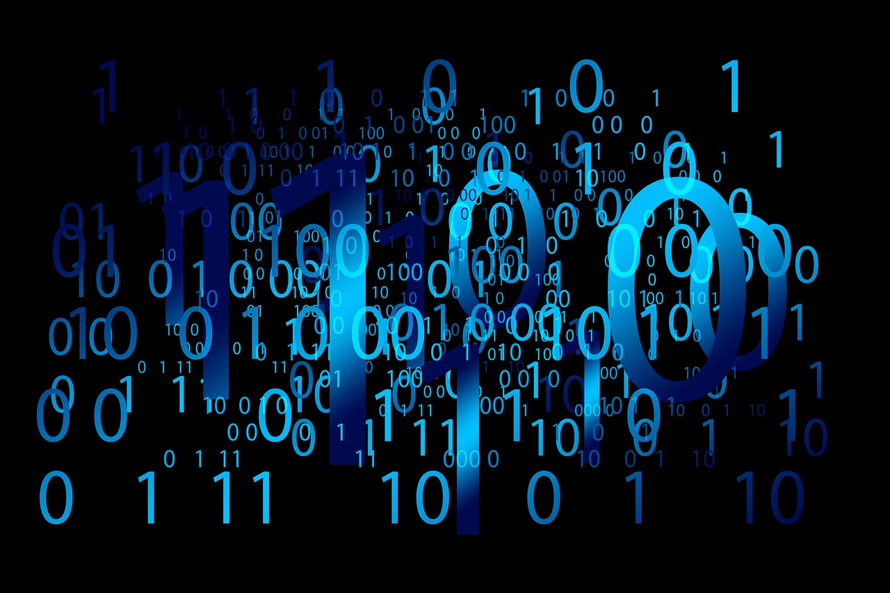 BMT PROGRAM software development